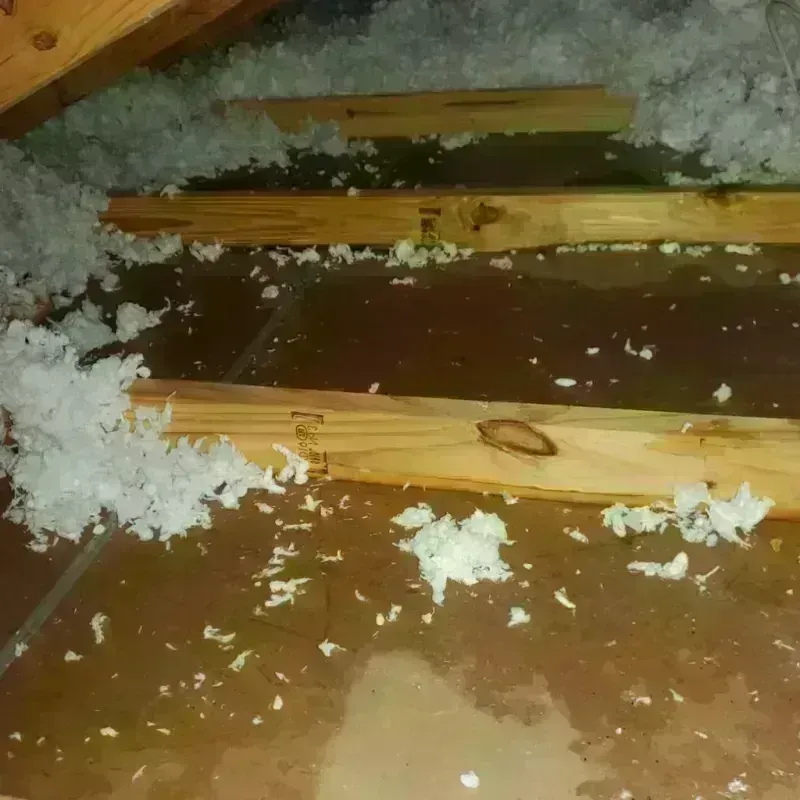 Attic Water Damage in Woodlawn, VA