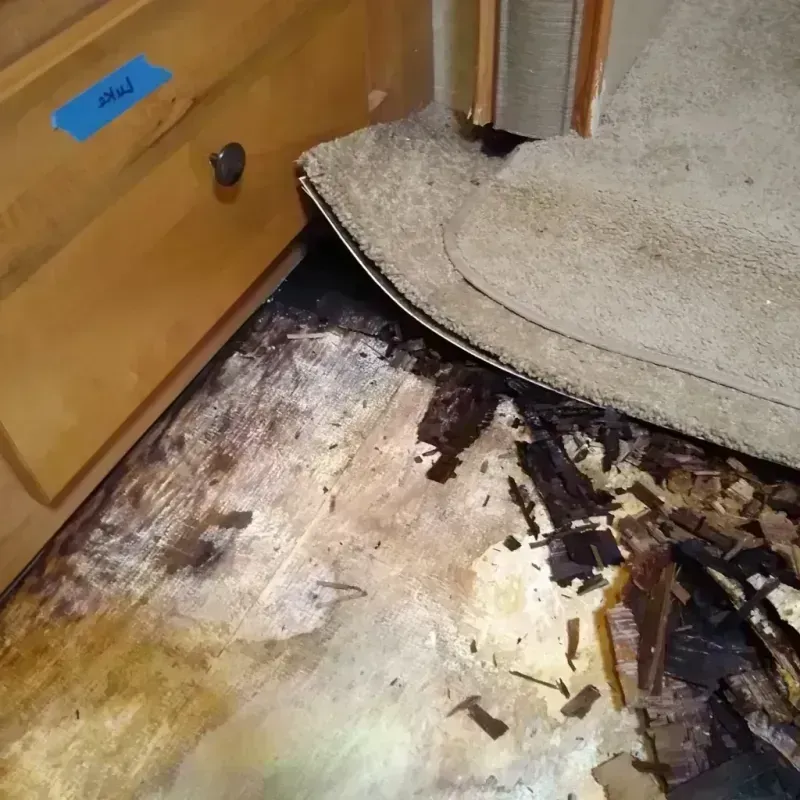 Wood Floor Water Damage in Woodlawn, VA